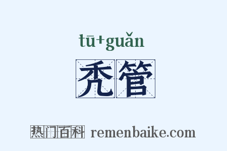 秃管是什么意思的图片
